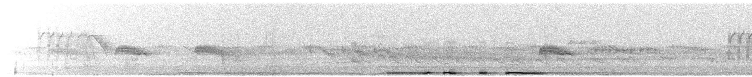 White-winged Dove - ML638923620