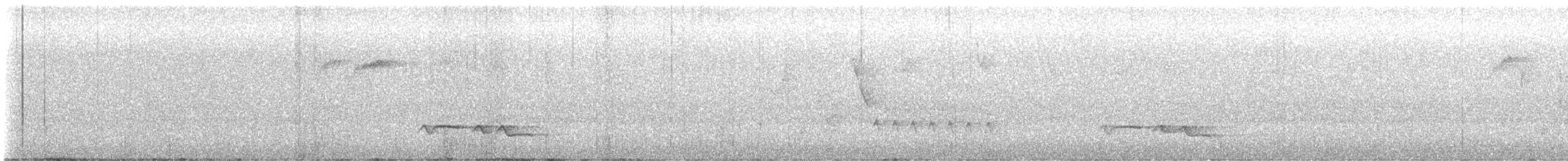 ムナジロモリミソサザイ（pittieri／costaricensis） - ML638923791