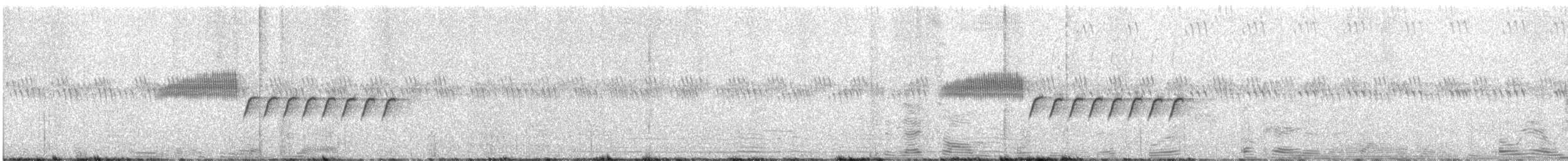 Bewick's Wren - ML638926010