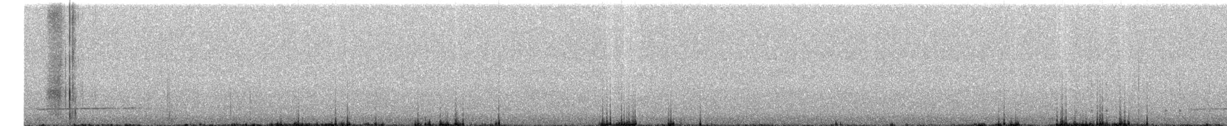 Spotted Owl - ML638926129