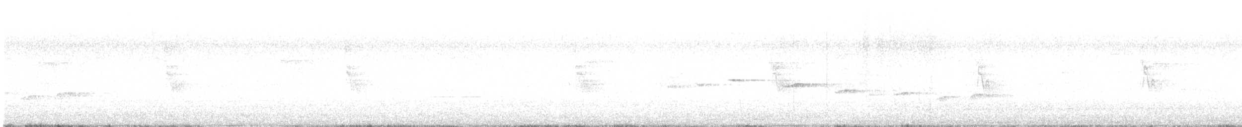 Spot-breasted Fantail - ML638926372