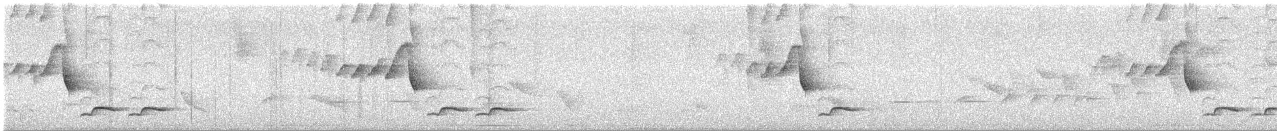 White-breasted Wood-Wren - ML638926728