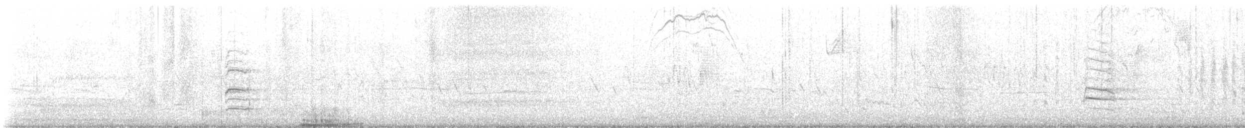 Pine Siskin - ML638927375