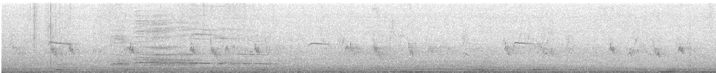 Northern Beardless-Tyrannulet - ML638927886