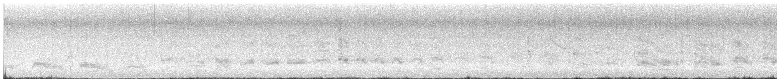 Bonaparte's Gull - ML638928700