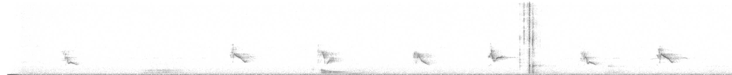 Gray Vireo - ML638928714