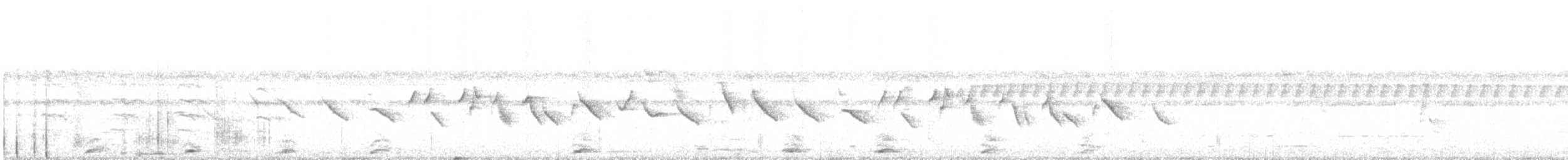 Chestnut-bellied Seed-Finch - ML638930955