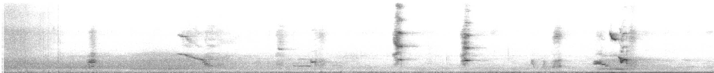Satin Bowerbird - ML638932944
