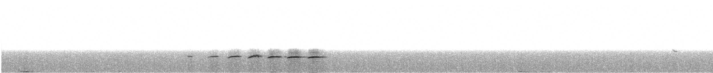 White-throated Treecreeper (White-throated) - ML638934593