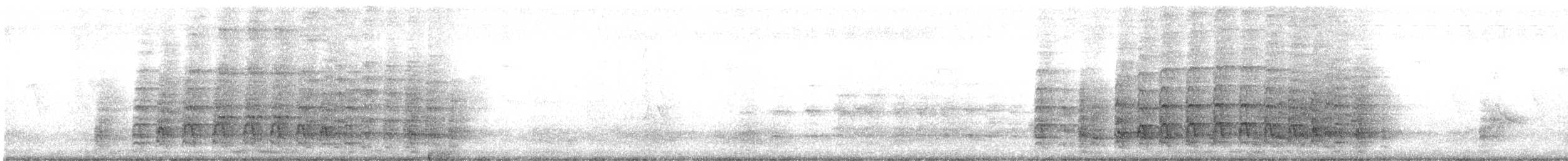 Oriental Pied-Hornbill - ML638934711