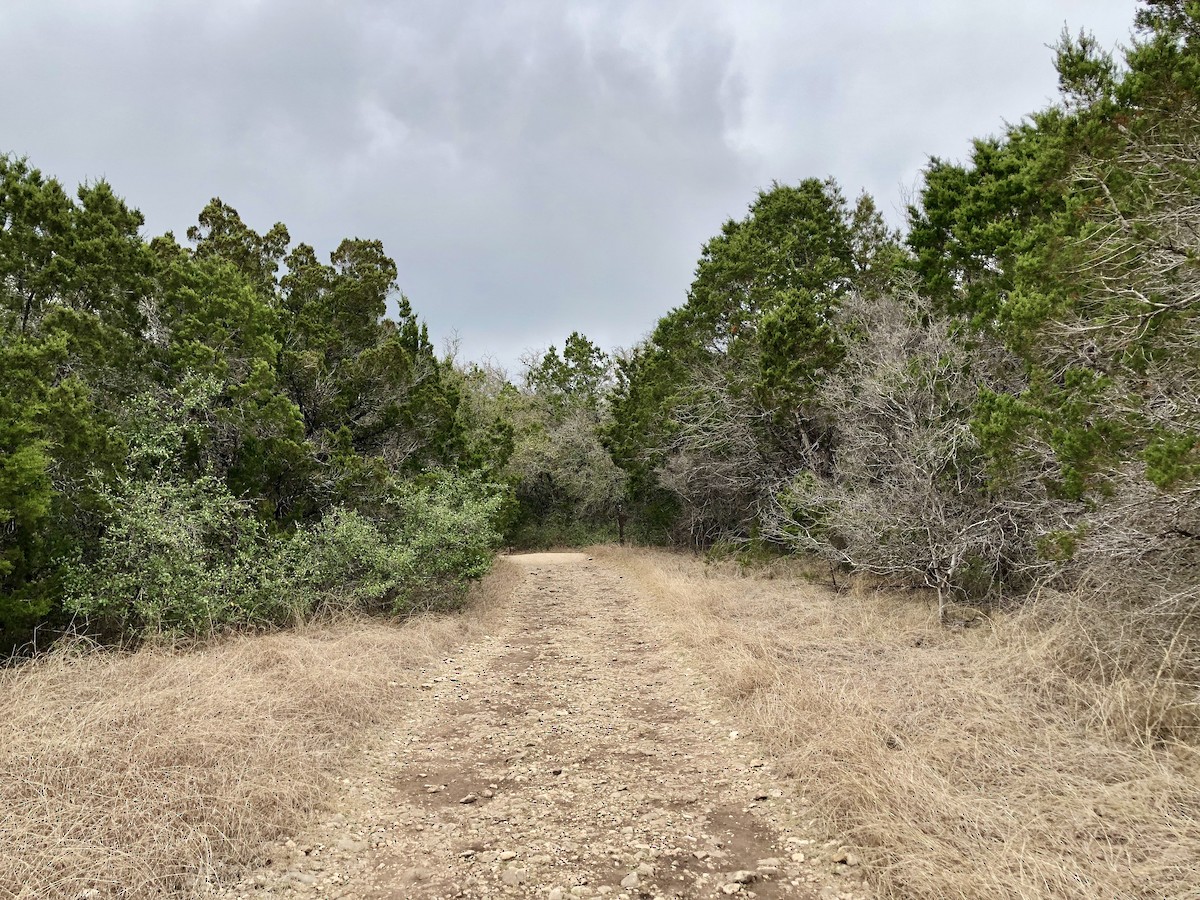 null - ML638938215