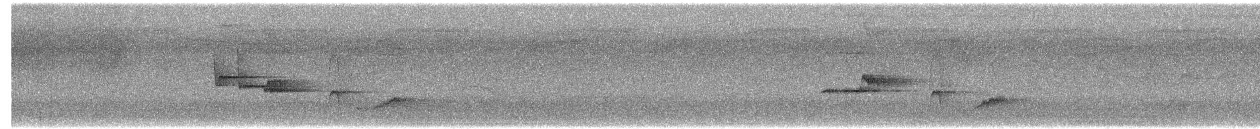 Narzissenschnäpper - ML638939505