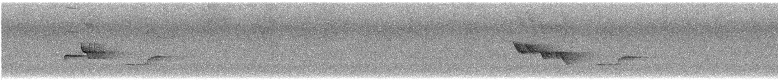 Narzissenschnäpper - ML638939511