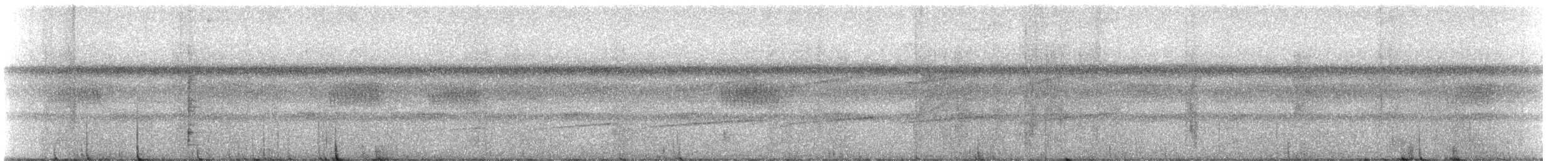 Common Scale-backed Antbird - ML638939576