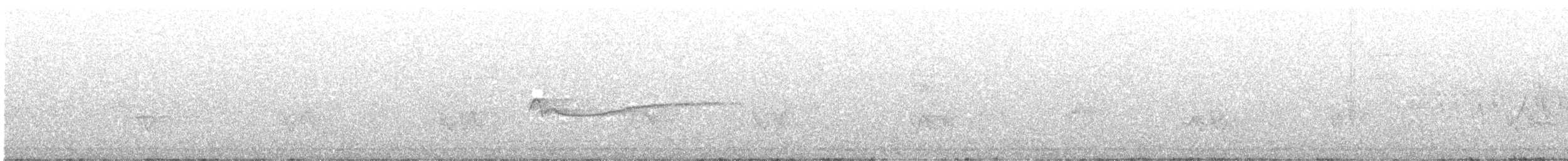 Eastern Wood-Pewee - ML638940409