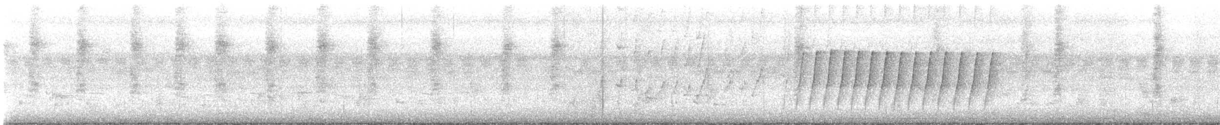 Schwarznackenmonarch - ML638940592