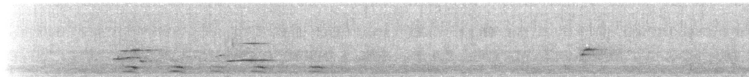 White-necked Raven - ML638940829