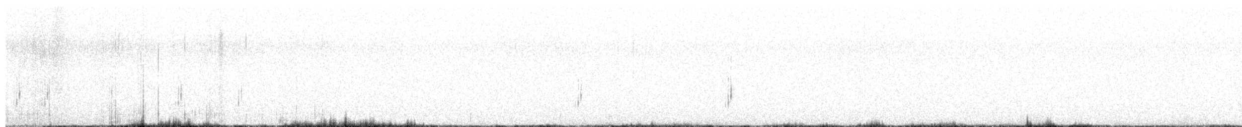 Mourning Wheatear (Maghreb) - ML638941025