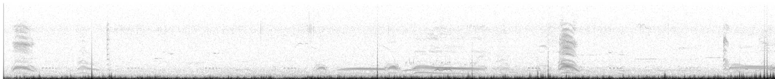 Gray-hooded Gull - ML638941661