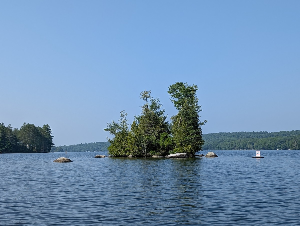 Common Loon - ML638942664