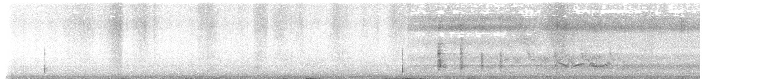Red-bellied Woodpecker - ML638942892