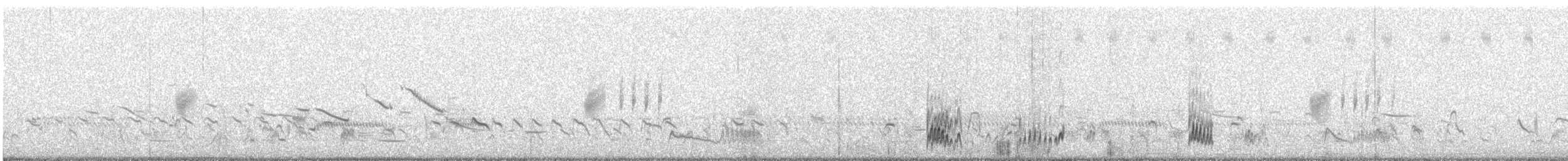 Snowy Plover - ML638943499