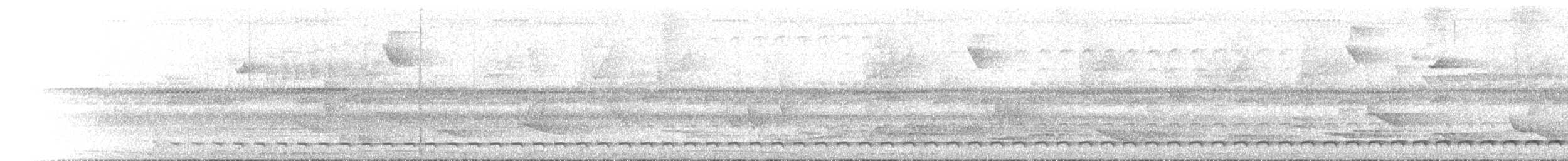 Such's Antthrush - ML638943508