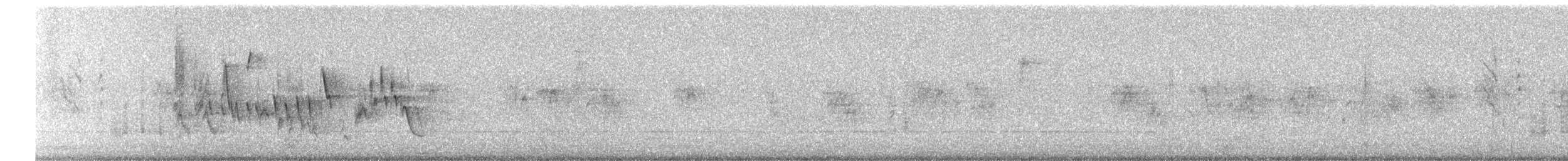 Southern House Wren - ML638944719