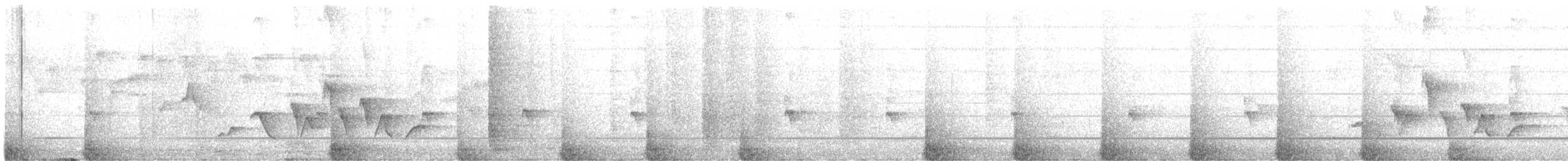 Black-capped Speirops - ML638945643