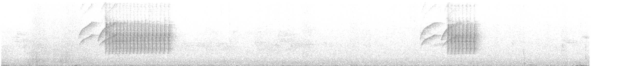 Southern Cordonbleu - ML638945657