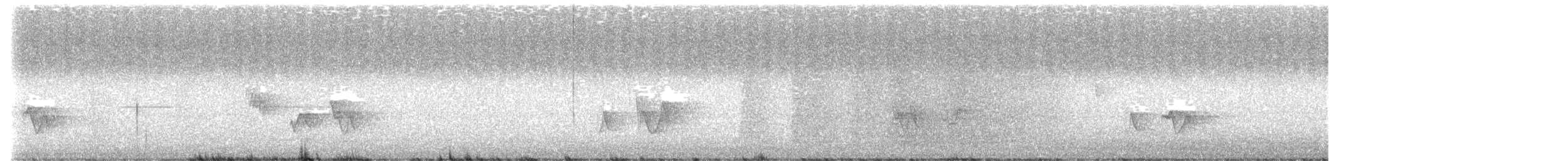 Black-whiskered Vireo - ML638946652
