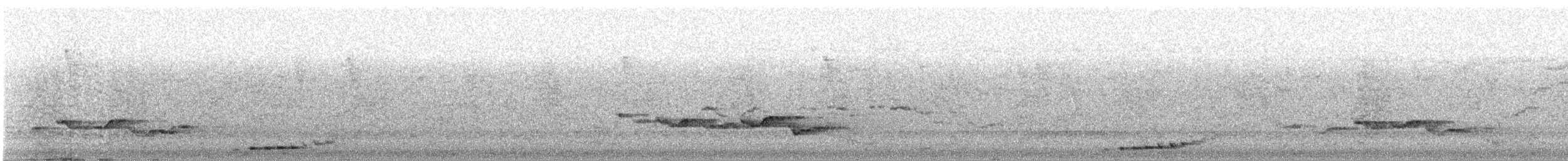 Indian Scimitar-Babbler - ML638947269