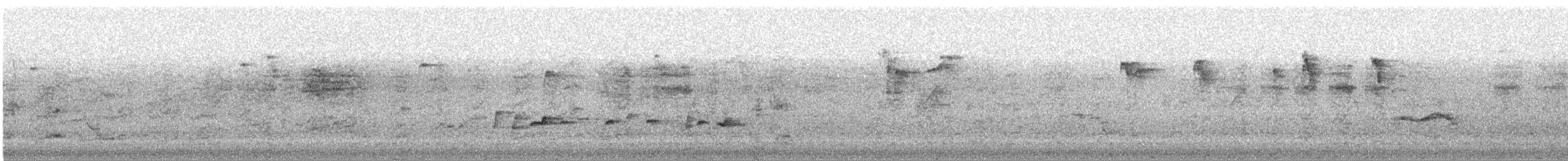 Purple-rumped Sunbird - ML638947299