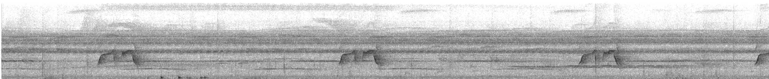 Weißflecken-Ameisenwächter - ML638948990