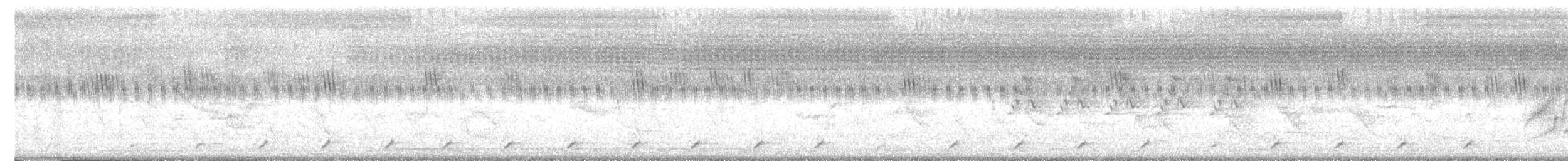 Common Woodshrike - ML638949723
