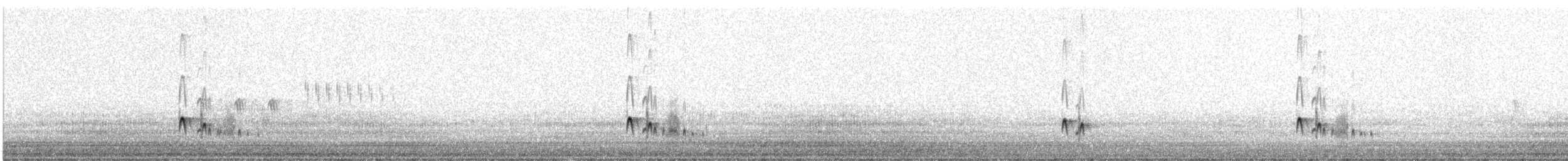 Ash-throated Flycatcher - ML638951672
