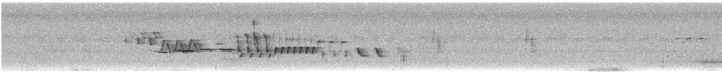 オジロヒメドリ - ML638951787