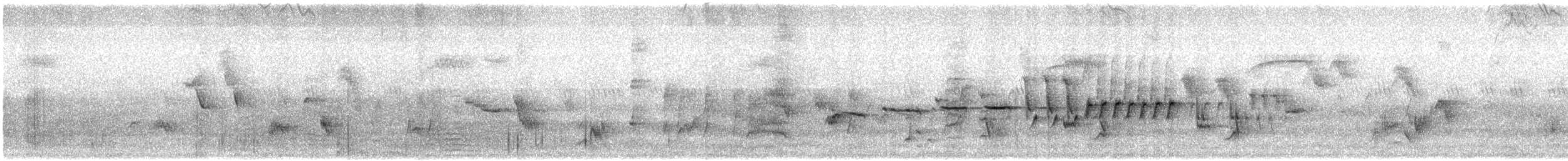 オジロヒメドリ - ML638952255