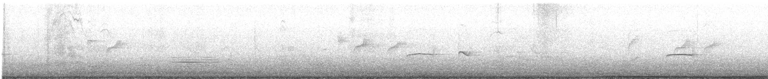 Tyranneau passegris - ML638952619