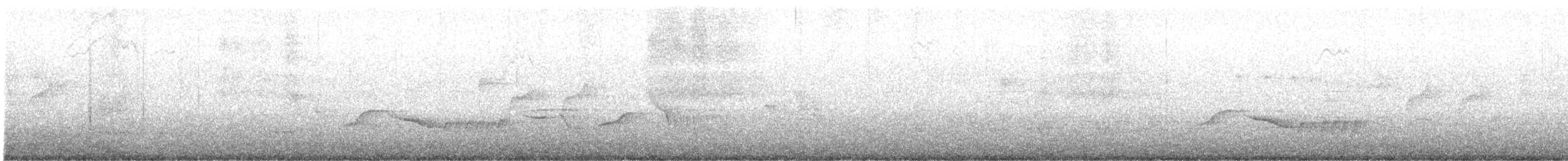 Troglodyte des halliers - ML638952777