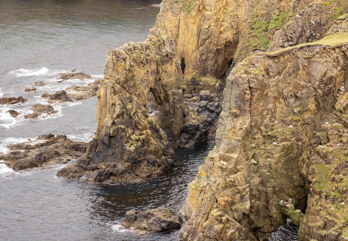 null - ML638954118