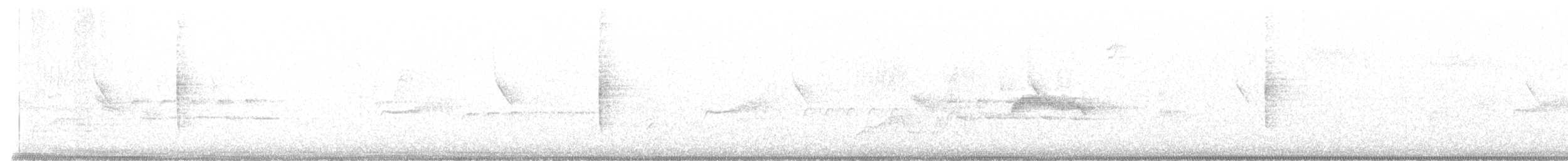 passerellidé sp. - ML638954825