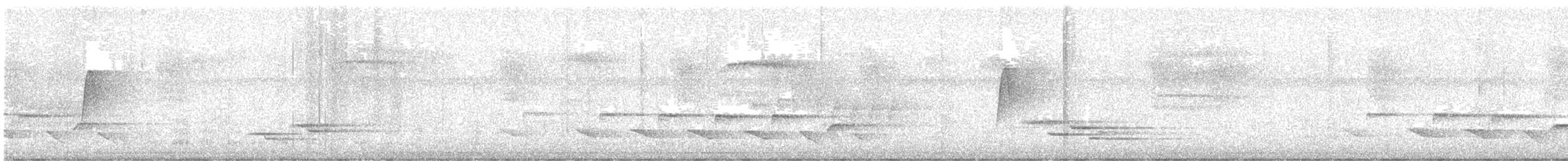 Піві-малюк оливковий - ML638956003