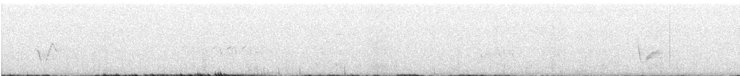 Vireo de Cassin - ML638956209