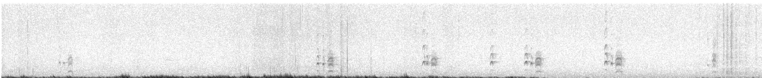 Ash-throated Flycatcher - ML638957710