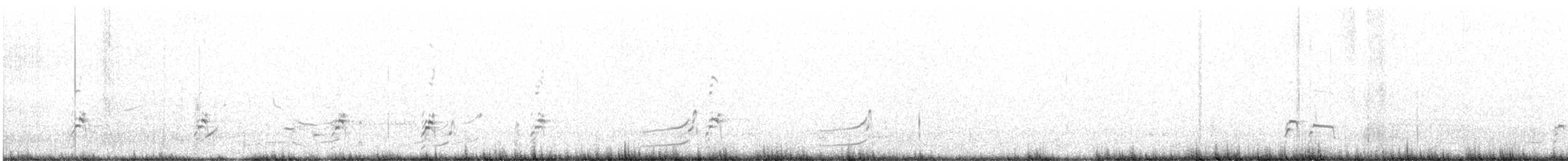 American Avocet - ML638960618