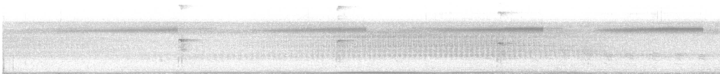 strakapoud americký - ML638961986