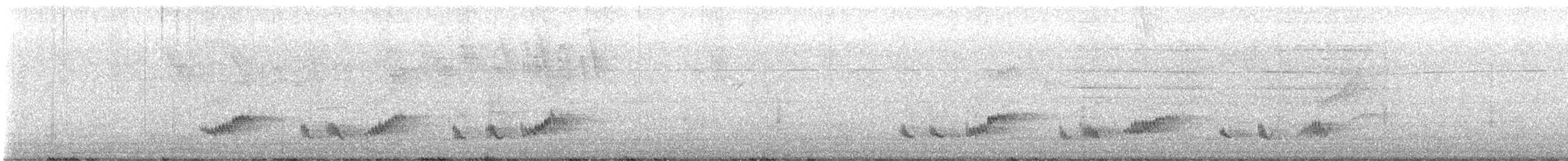 Tropical Mockingbird - ML638962055