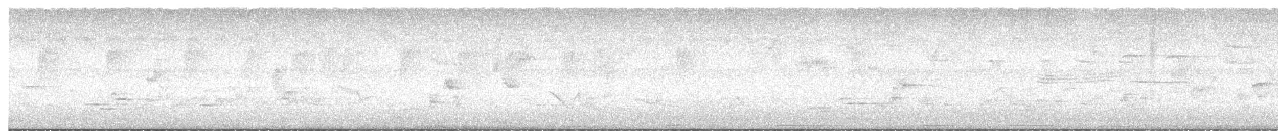 Grive des bois - ML638962486