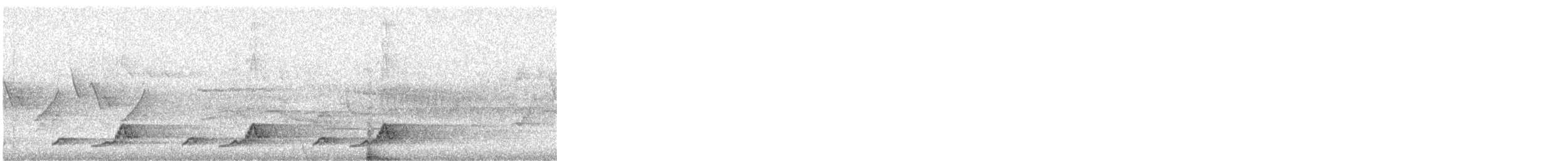 Eastern Whip-poor-will - ML638962966